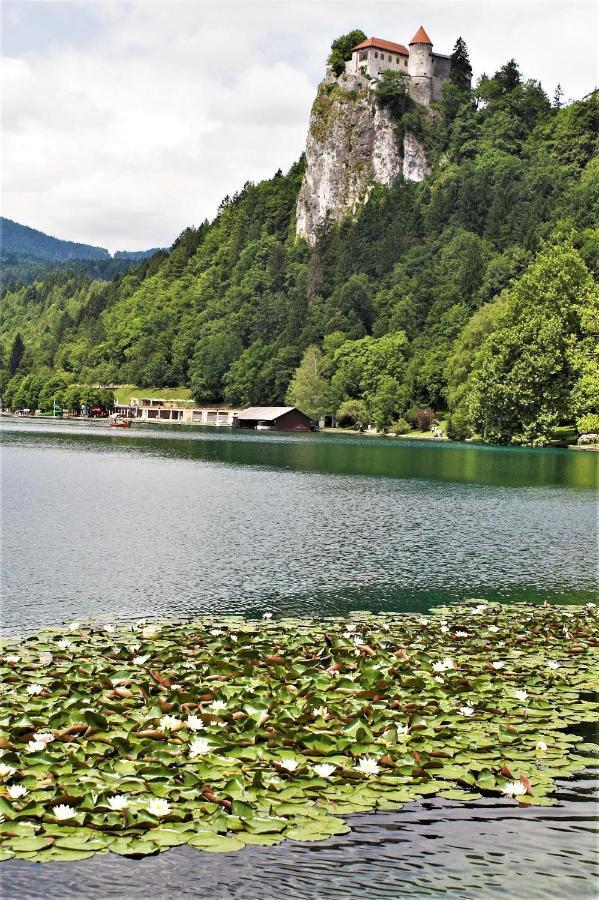 Penzion Zaka Bled Eksteriør bilde