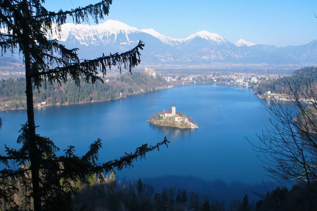 Penzion Zaka Bled Eksteriør bilde
